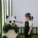 安吉竹博园 - 湖州市旅游 缩略图 6