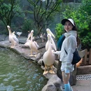 碧峰峡景区 - 雅安市旅游 缩略图 4
