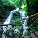 碧峰峡景区 - 雅安市旅游 缩略图 5