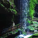 碧峰峡景区 - 雅安市旅游 缩略图 1