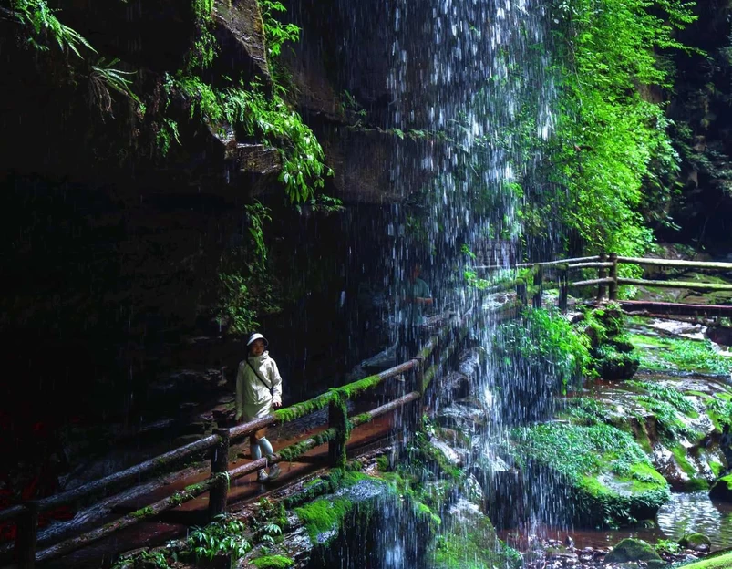 碧峰峡景区 - 雅安市旅游 1