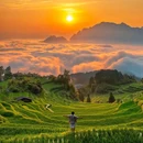 江浙沪专线物流 - 海口市旅游 缩略图 1