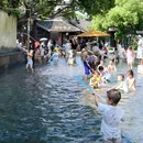 乌镇古镇旅游区 - 嘉兴市旅游 缩略图 9