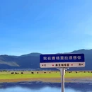 纳帕海景区 - 迪庆藏族自治州旅游 缩略图 6