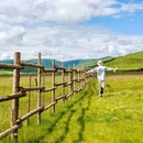 月亮湾 - 阿坝藏族羌族自治州旅游 缩略图 6