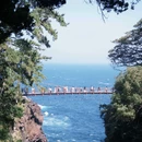 东伊豆町 - 日本旅游 缩略图 3