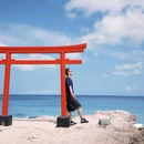 东伊豆町 - 日本旅游 缩略图 6