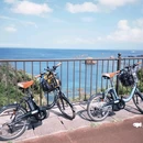 东伊豆町 - 日本旅游 缩略图 7