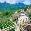 篁岭景区 - 上饶市旅游 缩略图 6