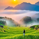云和梯田景区 - 丽水市旅游 缩略图 3