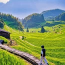 云和梯田景区 - 丽水市旅游 缩略图 4