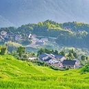 云和梯田景区 - 丽水市旅游 缩略图 7