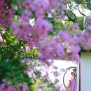 醉白池公园-莲花池 - 上海市旅游 缩略图 5