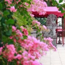 醉白池公园-莲花池 - 上海市旅游 缩略图 9