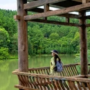 广州市白江湖森林公园 - 广州市旅游 缩略图 1
