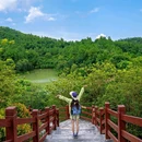 广州市白江湖森林公园 - 广州市旅游 缩略图 2