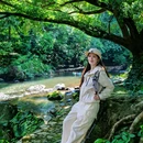 石门国家森林公园 - 广州市旅游 缩略图 3