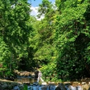 石门国家森林公园 - 广州市旅游 缩略图 5