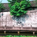 鲁迅故里景区 - 绍兴市旅游 缩略图 8