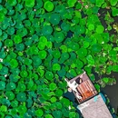 陈堡草荡水上运动休闲中心 - 泰州市旅游 缩略图 5