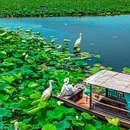 陈堡草荡水上运动休闲中心 - 泰州市旅游 缩略图 2