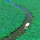 陈堡草荡水上运动休闲中心 - 泰州市旅游 缩略图 4