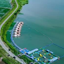 陈堡草荡水上运动休闲中心 - 泰州市旅游 缩略图 9