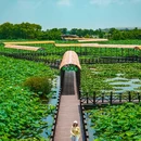 陈堡草荡水上运动休闲中心 - 泰州市旅游 缩略图 7