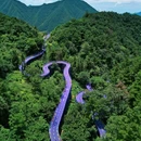 天子地山野乐园 - 杭州市旅游 缩略图 1