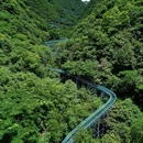 天子地山野乐园 - 杭州市旅游 缩略图 6