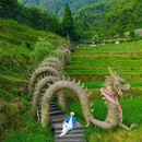 云和梯田景区 - 丽水市旅游 缩略图 2