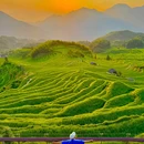 云和梯田景区 - 丽水市旅游 缩略图 1