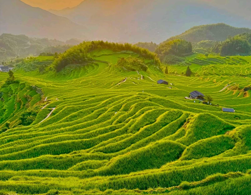 云和梯田景区 - 丽水市旅游 1
