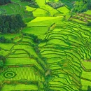 云和梯田景区 - 丽水市旅游 缩略图 3