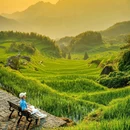 云和梯田景区 - 丽水市旅游 缩略图 6
