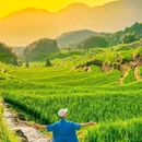 云和梯田景区 - 丽水市旅游 缩略图 8