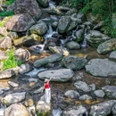仙都国家级风景名胜区 - 丽水市旅游 缩略图 5