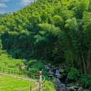 仙都国家级风景名胜区 - 丽水市旅游 缩略图 8