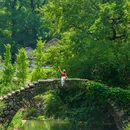 仙都国家级风景名胜区 - 丽水市旅游 缩略图 9
