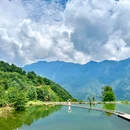 黑竹沟风景名胜区游客中心 - 乐山市旅游 缩略图 1