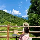 黑竹沟风景名胜区游客中心 - 乐山市旅游 缩略图 5