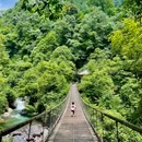黑竹沟风景名胜区游客中心 - 乐山市旅游 缩略图 8