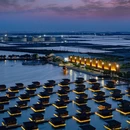 多玛乐园 - 唐山市旅游 缩略图 2