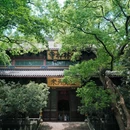 法喜讲寺 - 杭州市旅游 缩略图 8