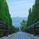 七贤岭森林公园 - 大连市旅游 缩略图 8