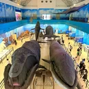 七贤岭森林公园 - 大连市旅游 缩略图 9