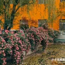 夕宿·莱晨轻奢观景精选酒店(贵阳北站北大资源梦想城店) - 贵阳市旅游 缩略图 4