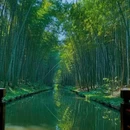 江苏同里国家湿地公园 - 苏州市旅游 缩略图 1