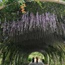 江苏同里国家湿地公园 - 苏州市旅游 缩略图 5