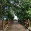 江苏同里国家湿地公园 - 苏州市旅游 缩略图 3